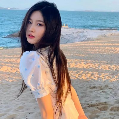 海岸大捕怪国语