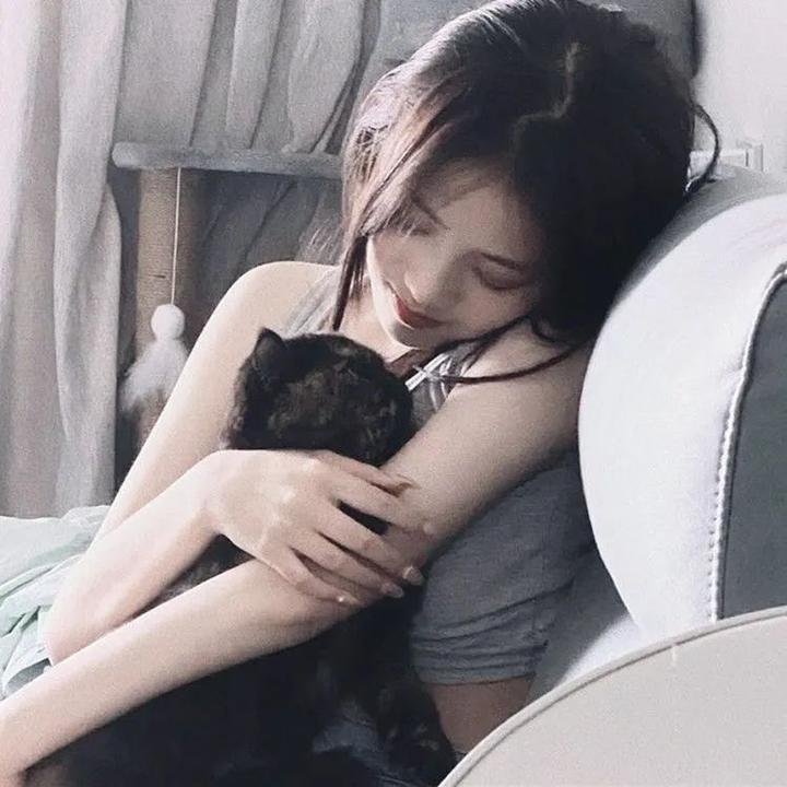 红杏劫粤语